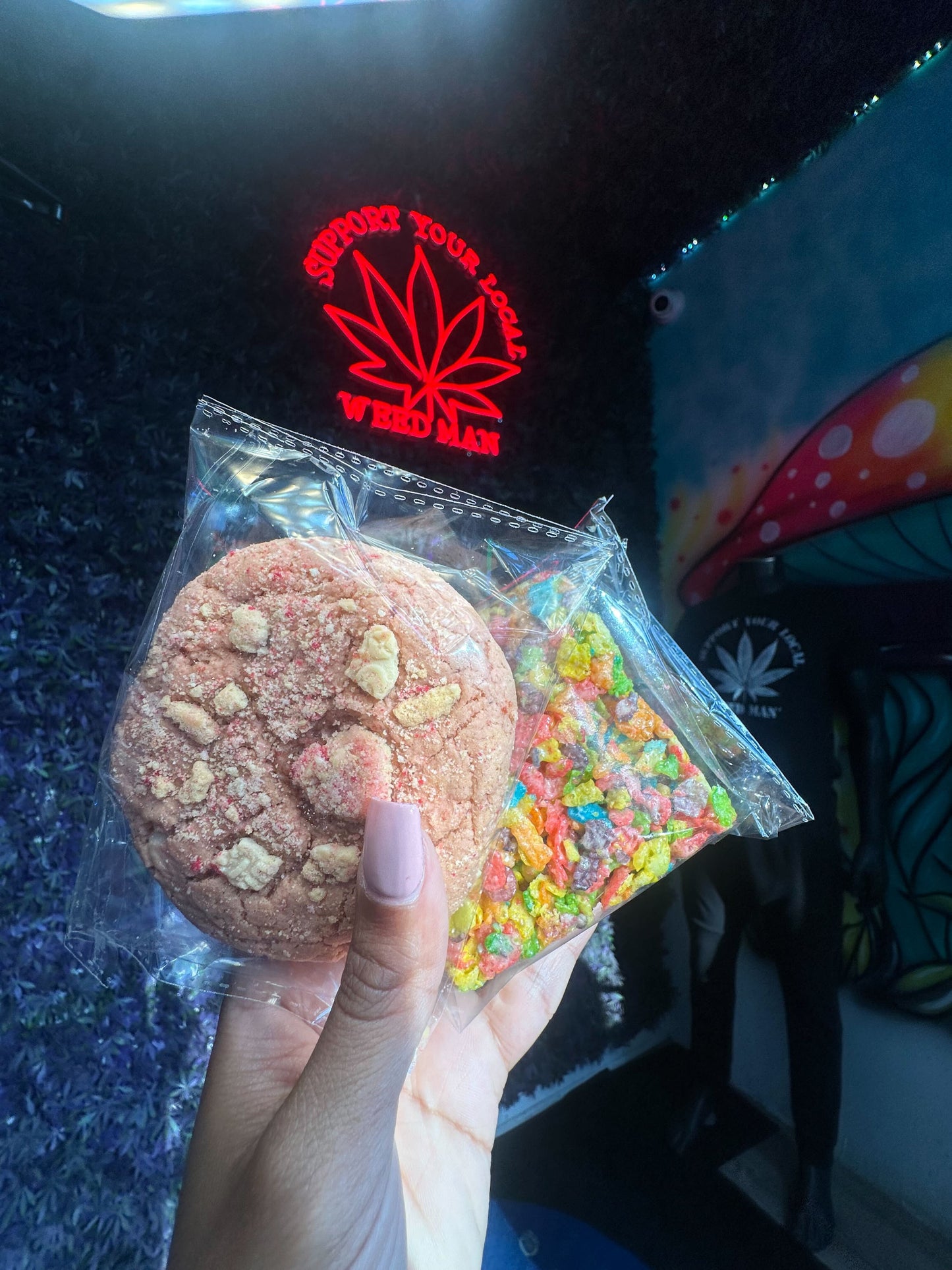 House Cookie | Edible 1 pk